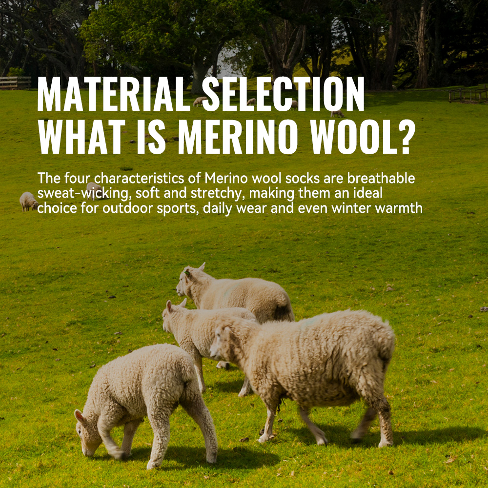 WRELS 1/2/3 Merino Wool Socks  - Thermal Sock Wool 评论和价格